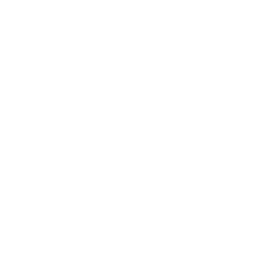 LOGO_NEHEMY_HAIR-blanc-500px